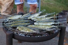 Grillen BBNZ 2015