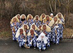 Narrenzunft Altingen - Moia-Käfer Narrenzunft Altingen - Moia-Käfer