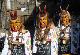 Poltringer Fasnetsclub - Bockmoster Poltringer Fasnetsclub - Bockmoster