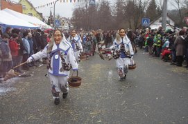 Narrenzunft Sulzau - Fleggahansel