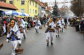 Narrenzunft Sulzau - Fleggahansel