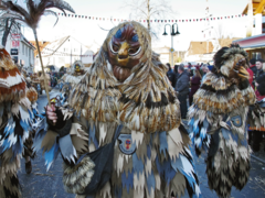 Narrenzunft Rangendingen - Jägen