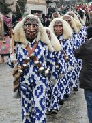 Narrenzunft Altingen - Moia-Käfer Narrenzunft Altingen - Moia-Käfer